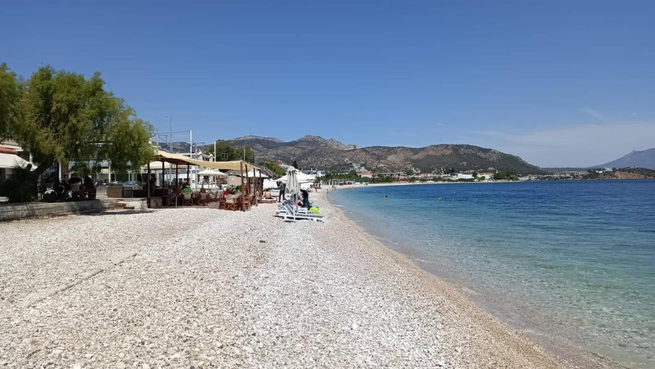Alexadra'S House Κάτω Αλμυρή Διαμέρισμα Εξωτερικό φωτογραφία
