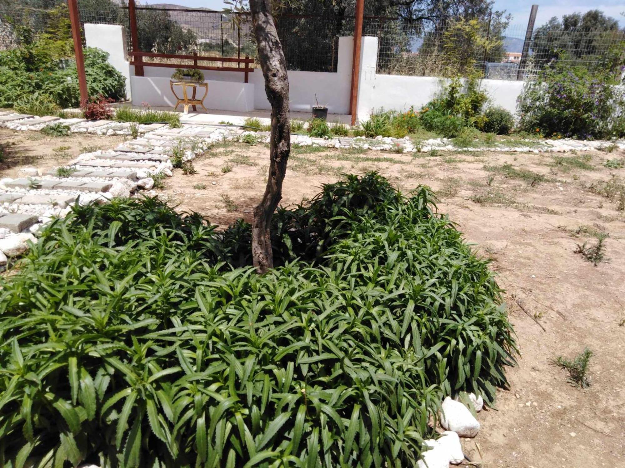 Alexadra'S House Κάτω Αλμυρή Διαμέρισμα Εξωτερικό φωτογραφία